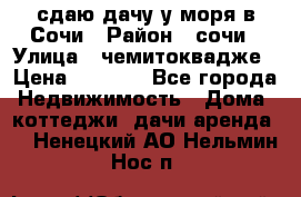 сдаю дачу у моря в Сочи › Район ­ сочи › Улица ­ чемитоквадже › Цена ­ 3 000 - Все города Недвижимость » Дома, коттеджи, дачи аренда   . Ненецкий АО,Нельмин Нос п.